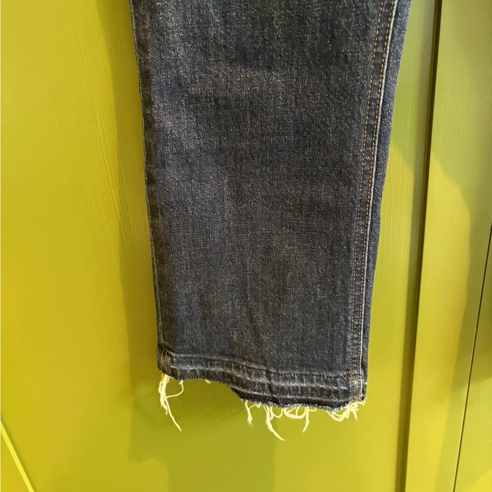 J Crew Billie Demi boot crop size 27